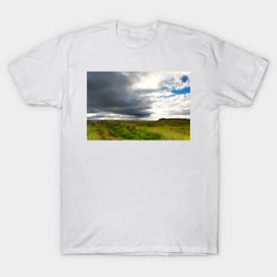 Will I need my brolly? T-Shirt